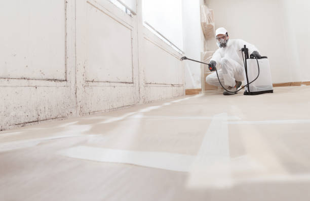 24/7 Emergency Commercial Mold Remediation experts in Wilmington, NC