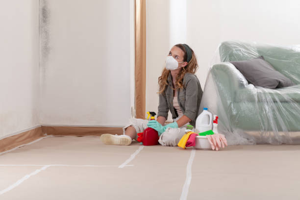 Reliable Commercial Mold Remediation contractor in Wilmington, NC by WQB Mold Removal